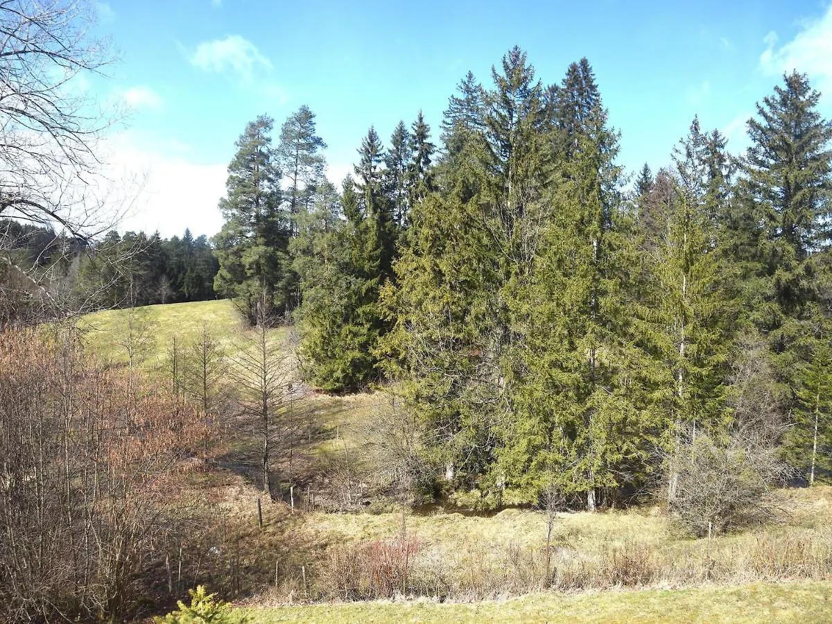 Holiday Home In Fuessen With Garden